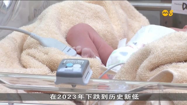 行动党议员呼吁政府 更好支持国人结婚生子