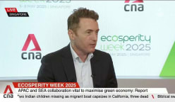 Bioeconomy, grid upgrades and EVs driving Southeast Asia’s green future: Bain 