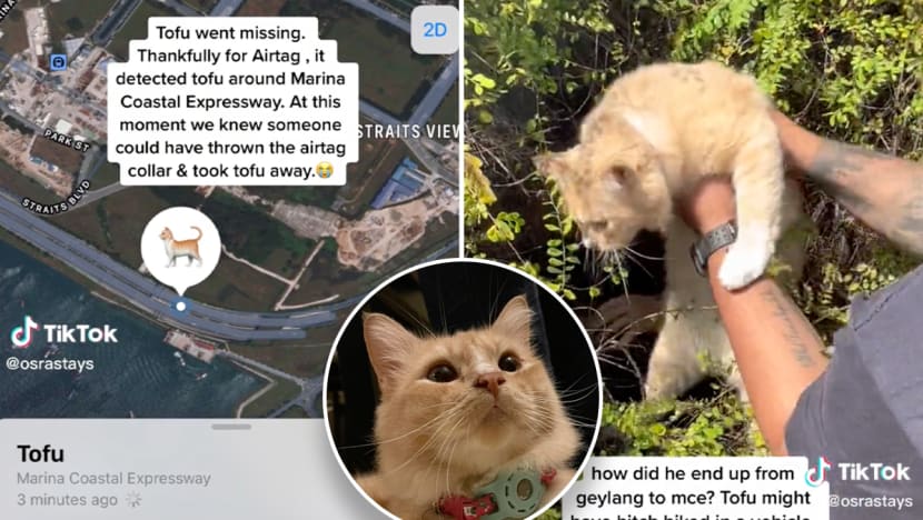 #trending: Apple AirTag helps Singapore family find missing pet cat in bushes along MCE