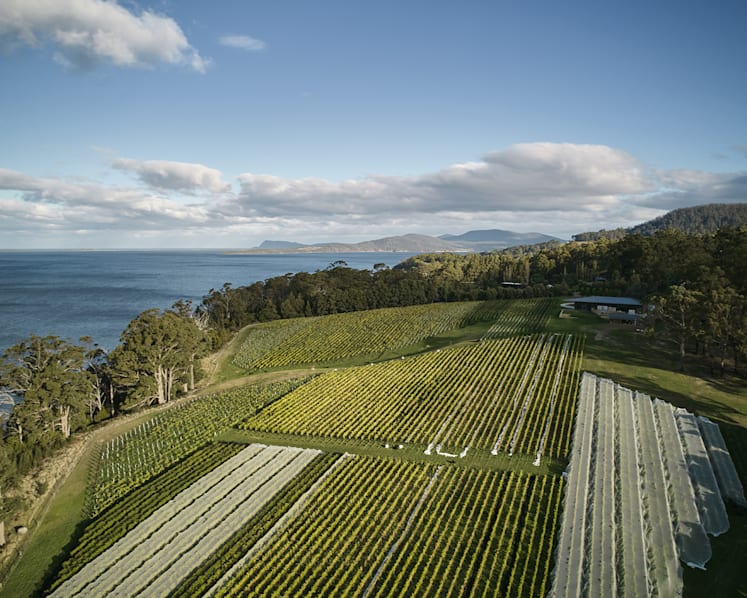 Why Tasmania’s Chardonnay is gaining global attention