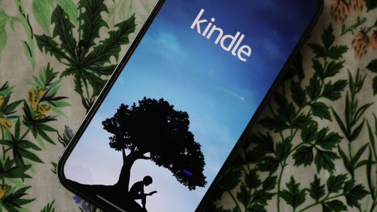 Exclusive-Amazon trims jobs in devices and services unit - Channel News Asia (Picture 1)