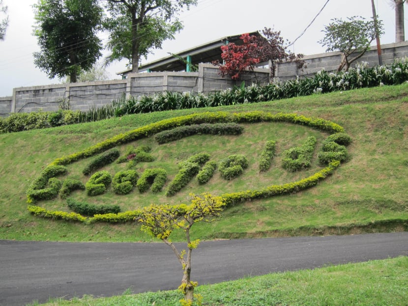 Dairy farms to expand in Asia as milk consumption increases