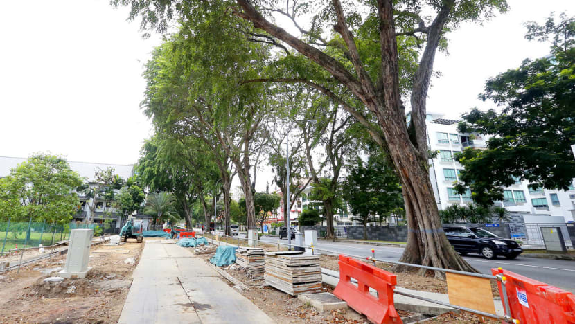 Pasir Panjang road-widening project to proceed