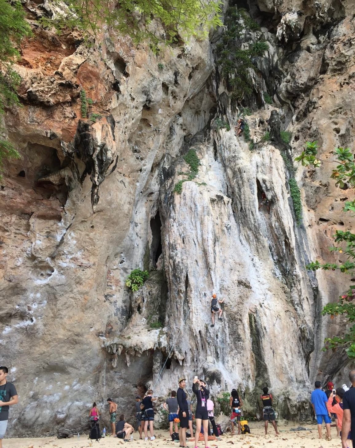 Related article image