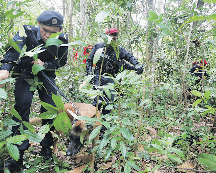 Terror group Jemaah Islamiyah poised to make a comeback, observers say