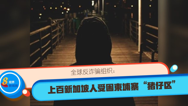 全球反诈骗组织：上百新加坡人受困柬埔寨“猪仔区”