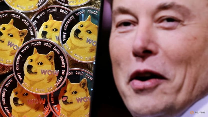 Elon Musk, Tesla win dismissal of lawsuit claiming they rigged dogecoin Elon Musk, Tesla win dismissal of lawsuit claiming they rigged dogecoin