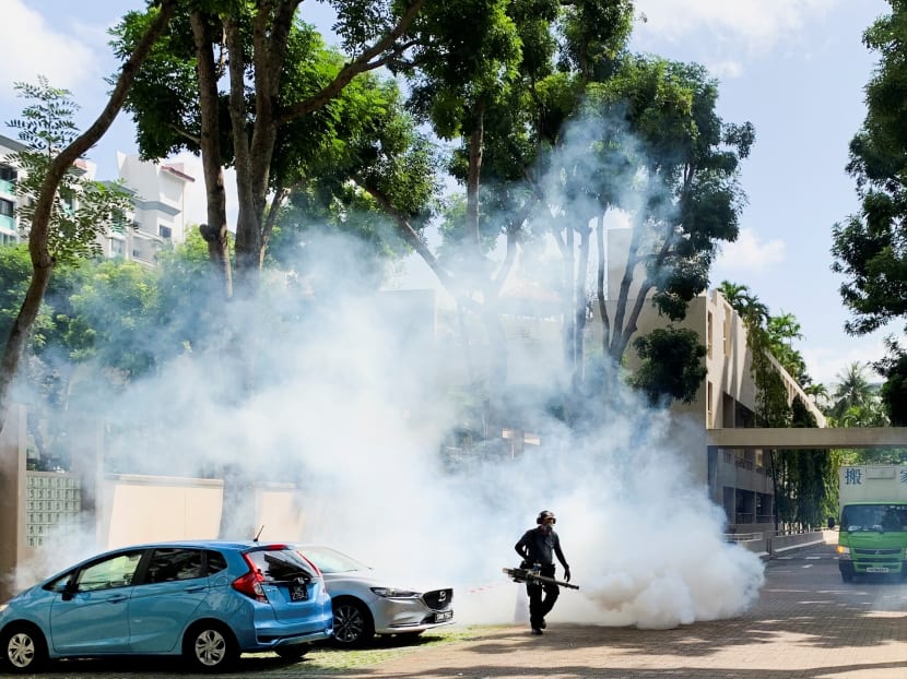 A worker fumigates a condominium to prevent the breeding of Aedes mosquitoes, in Singapore on Jan 21, 2022. A worker fumigates a condominium to prevent the breeding of Aedes mosquitoes, in Singapore on Jan 21, 2022.