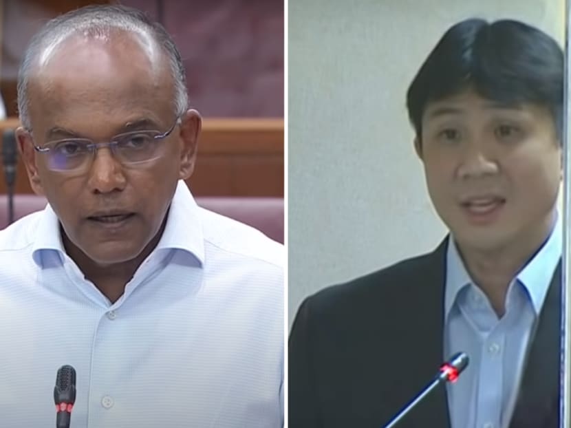 Law and Home Affairs Minister K Shanmugam on Feb 4, 2021 rejected a suggestion by Member of Parliament Jamus Lim that the criminal records of ex-offenders convicted of non-violent crimes could be removed 'for employment purposes'. Law and Home Affairs Minister K Shanmugam on Feb 4, 2021 rejected a suggestion by Member of Parliament Jamus Lim that the criminal records of ex-offenders convicted of non-violent crimes could be removed 'for employment purposes'.