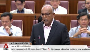 Shanmugam urges opposition parties to reject foreign interference, identity politics