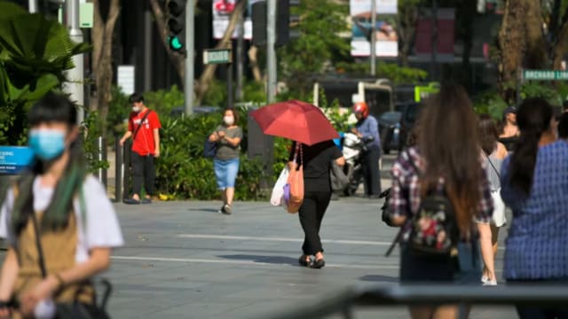 我国接下来一周天气炎热 部分地区早上和清晨下雷阵雨