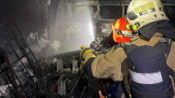 Related article image