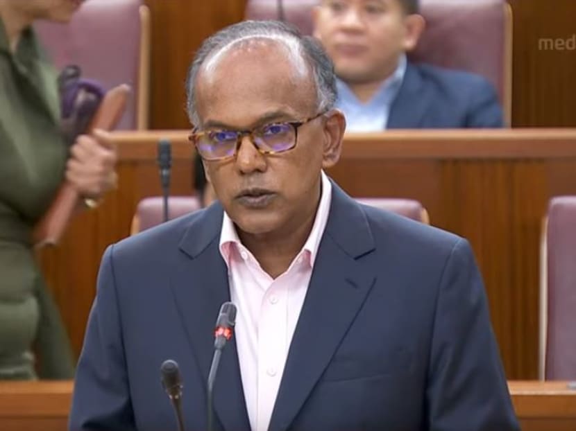 In his speech in Parliament on Oct 7, Mr K Shanmugam said: “We have got to look at these things with care and without a party lens, to decide on what is good for Singapore. We must handle these issues with sensibility, care and wisdom.”