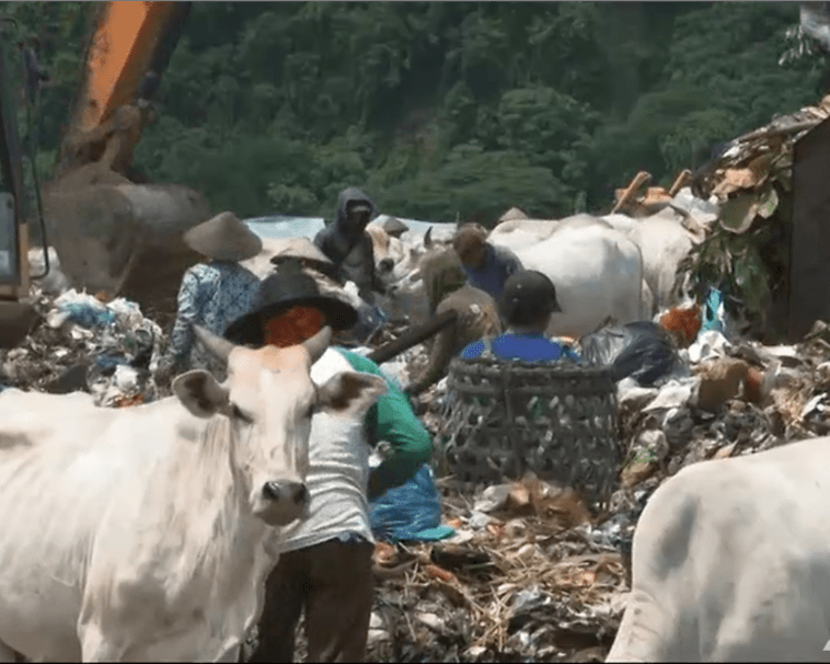 Diner in the landfill lets patrons pay for lunch with plastic waste