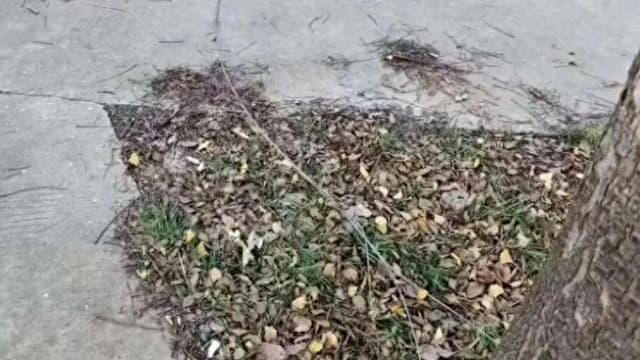 河南公园铁丝夺命 59岁男子骑车遭割喉身亡