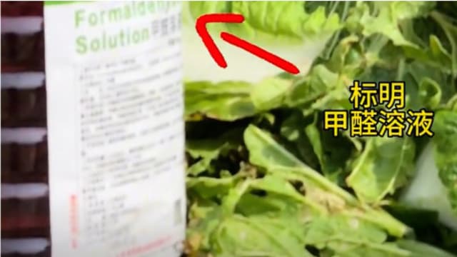 河北曝白菜装运前蘸甲醛保鲜 官方确认属实人车被查
