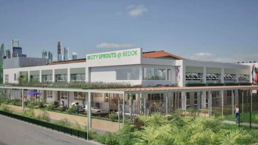 Hab masyarakat baharu di Bedok North siap jelang hujung 2025, dilengkapi dengan pusat terapi kucing