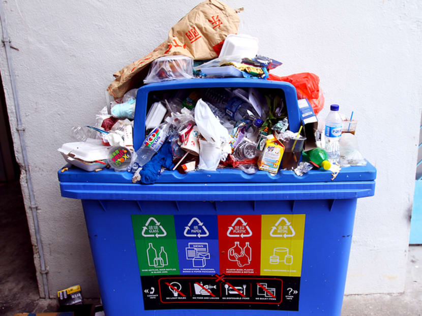 The Government is inviting 50 Singaporeans or permanent residents from diverse backgrounds to join a 'citizens' workgroup' to come up with new ways to tackle household rubbish recycling.