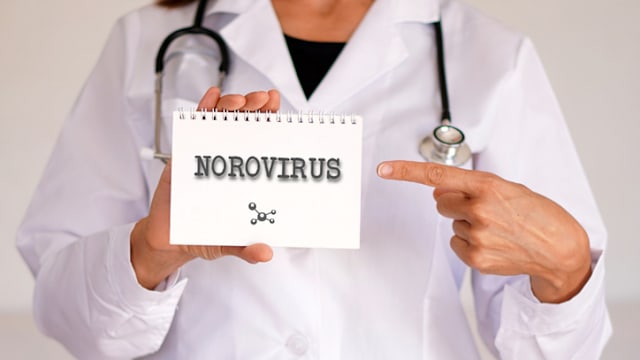 日本爆发诺罗病毒食物中毒案 患者77人