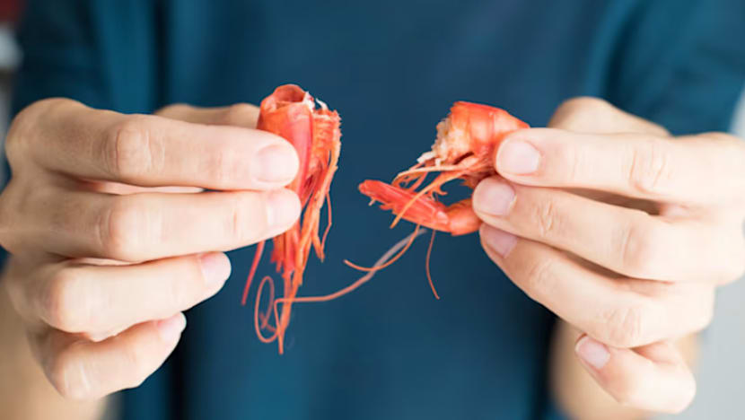  Ada alahan udang? Kajian pertama SG uji rawatan melalui pendedahan berperingkat