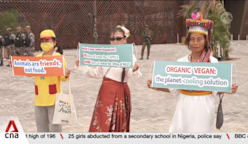 Country pavilions showcase art, culture, food and souvenirs at COP30 in Brazil's Belem