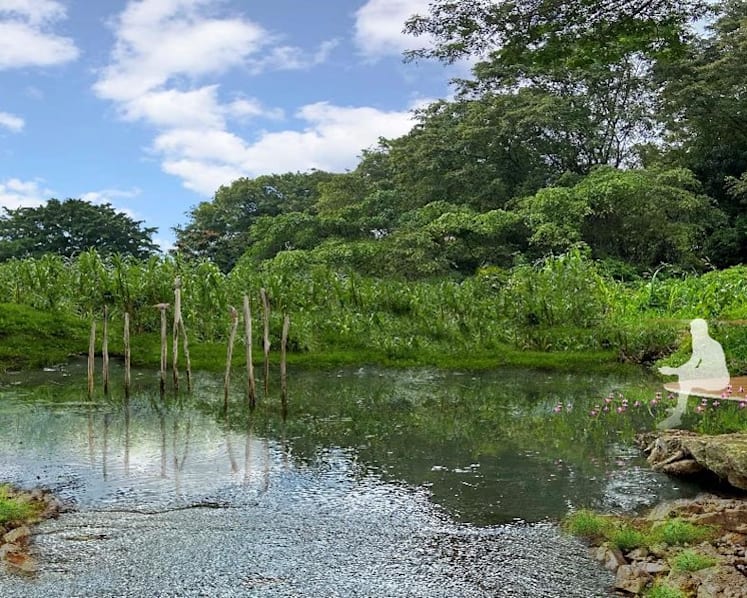 New Khatib Nature Corridor to comprise 3 new parks, add more than 90ha of green space