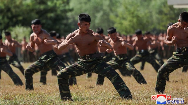 韩国情院：部分援俄朝鲜士兵或已转移到前线