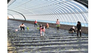 From Coal Mining to Agriculture: An Ecological Initiative at a Chinese Coal Mine