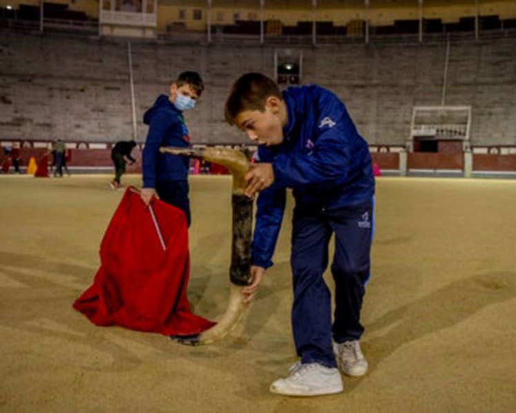 Children learn Spain’s deadly art of bullfighting, despite its falling popularity