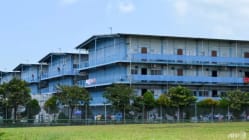 Related article image