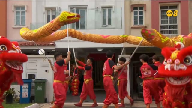 舞蛇表演新鲜登场 传统舞龙仍占主导