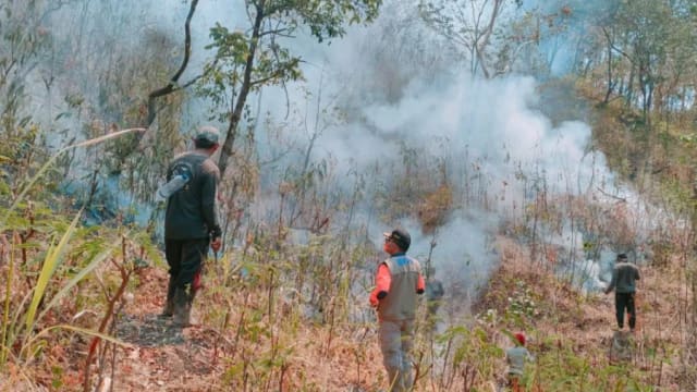 受极端干旱和林火威胁 峇厘岛进入紧急状态两周 