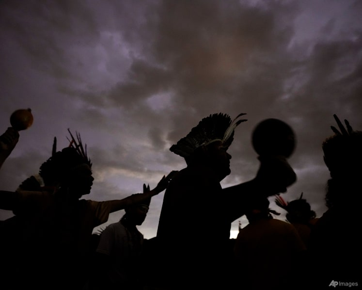 Brazilian groups want direct access to US forest funding