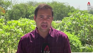 Asia Tonight - Wed 29 Apr 2026