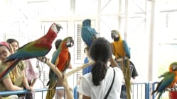 Related article image