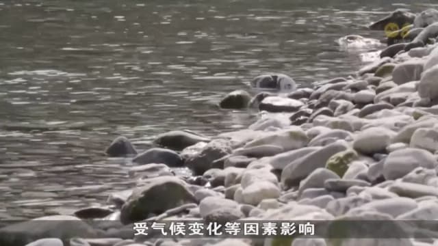 瑞士建造全球首个水资源图书馆 宣传保护水资源重要性