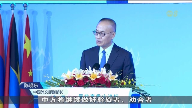中国将持续维护区域和平 助解决俄乌和以巴纠纷