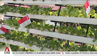 New Enabling Garden aims to create more varied job roles for persons with disabilities 