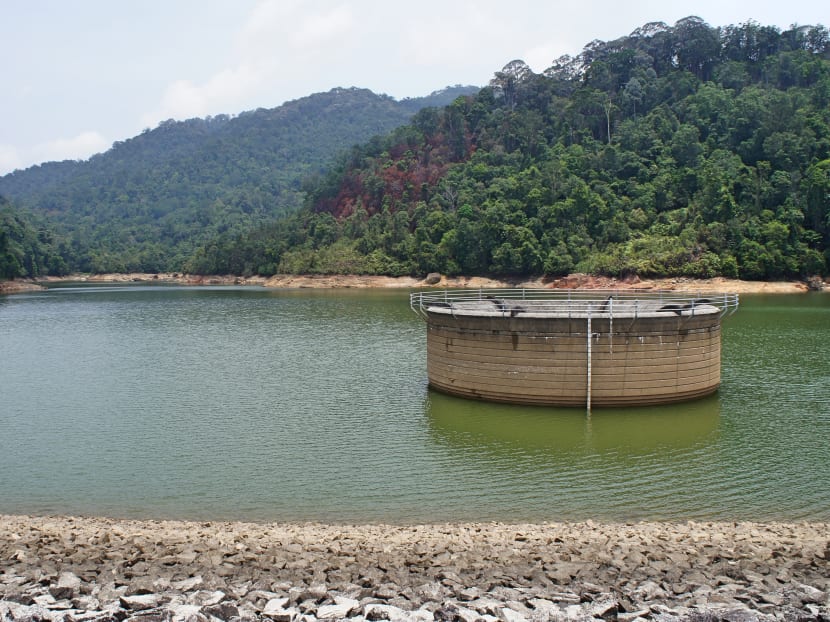 Taps run dry, and sweltering Malaysians run out of patience Taps run dry, and sweltering Malaysians run out of patience
