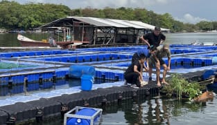 Growing Wild - All About Aquaculture