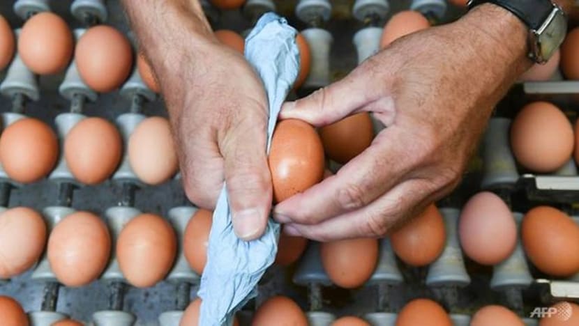 Nestle cuba hasil telur, udang berasaskan sayuran