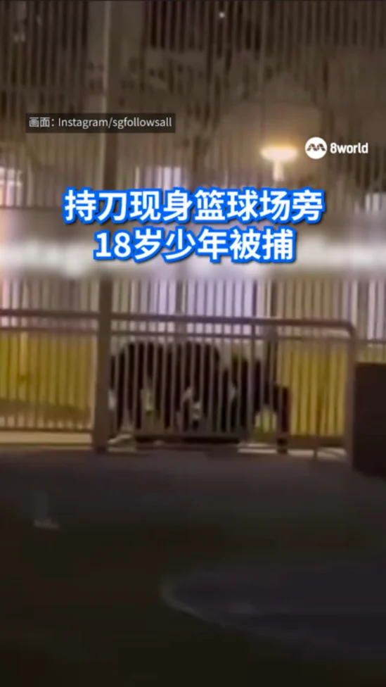 20260208_Knife_Basketball