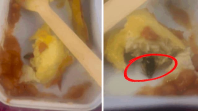 印度航班飞机餐里惊现蟑螂 母子食用后疑似食物中毒