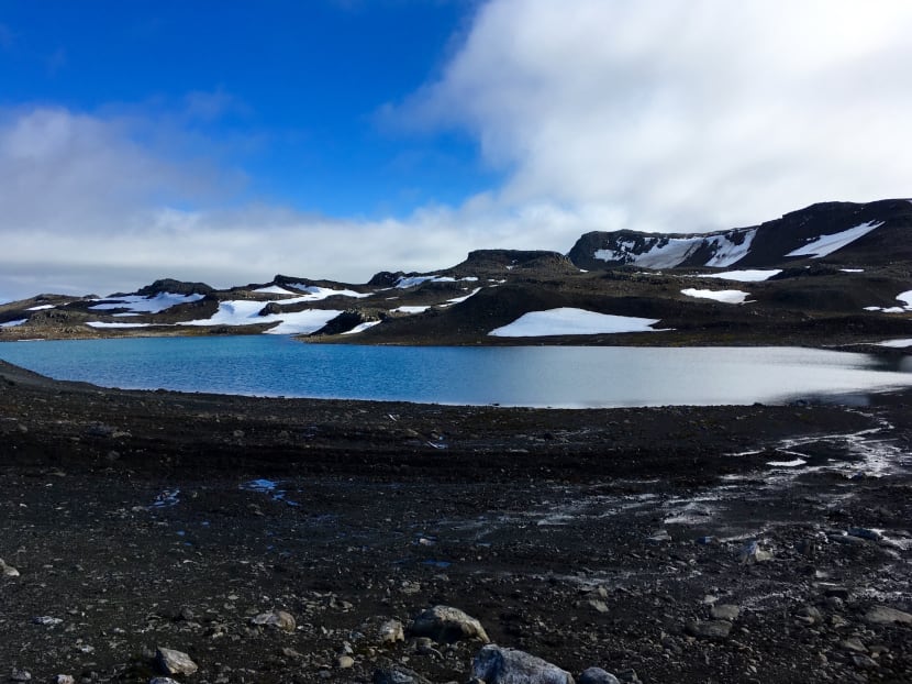 A freshwater lake is formed by the melting of ice on King George Island, Antarctica on Feb 1, 2018.