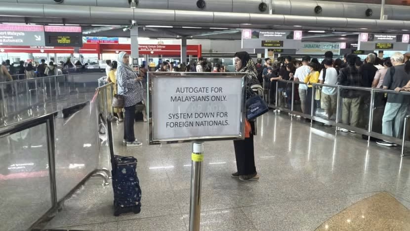 Gangguan sistem pagar automatik pelawat asing punca pintu masuk Malaysia sesak