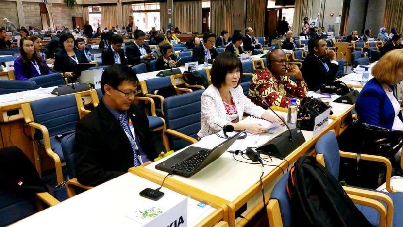 S’pore raises concerns over haze at UN meeting