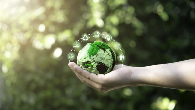 我国同智利和新西兰设立贸易及绿色经济联合工作组