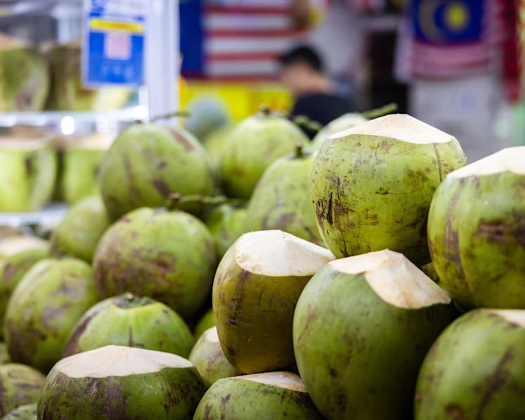 Coconut shortage fuels price surge in Malaysia; suppliers at a loss as yields fall sharply 