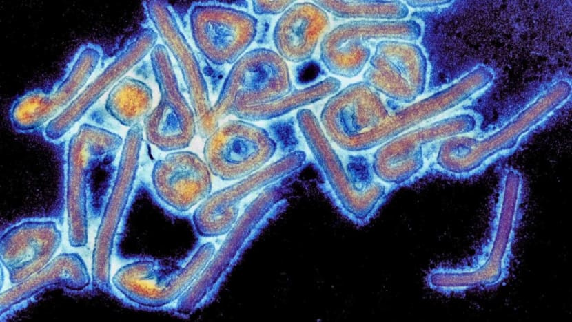 Indonesia perkukuh sistem pengesanan awal penyakit Marburg 