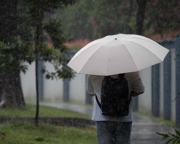 Rainy afternoons expected to continue in first half of March, after wettest February day on record: Met Service